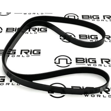 Belt - Poly 6 Ribs x 63 4/5 EL 638K6BLT - TRP