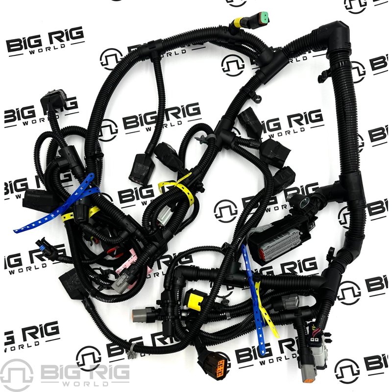 Harness Wiring - Engine 5590368 - Cummins