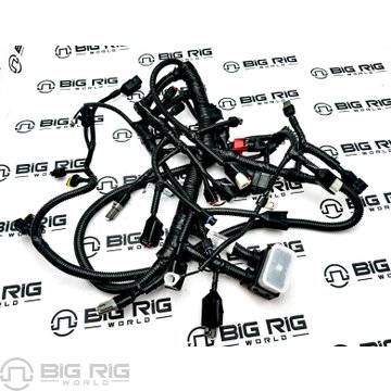 Wiring Harness - Engine 4907491 - Cummins