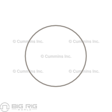 Liner Seal Ring 3054949 - Cummins