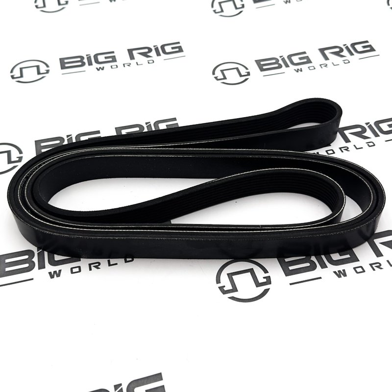 Belt - Poly 8 Ribs X 2600 Orion HD/PLYSTR D84-1000-3082600 - Paccar