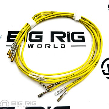 Ip, Head Light Wiring N/tripmaster 3761886F91 - International