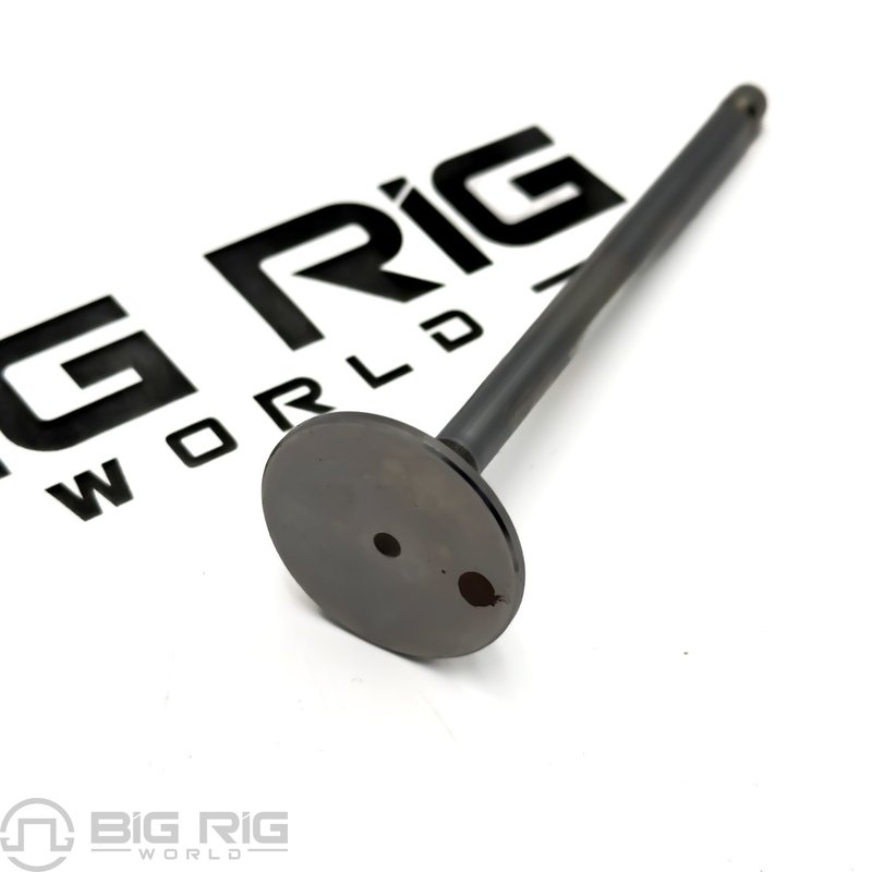 Intake Valve Kit 3802924 - Cummins