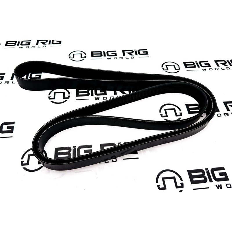 Belt-Poly 8 Ribs X 2295 Plystr D84-1000-6082295 - Paccar