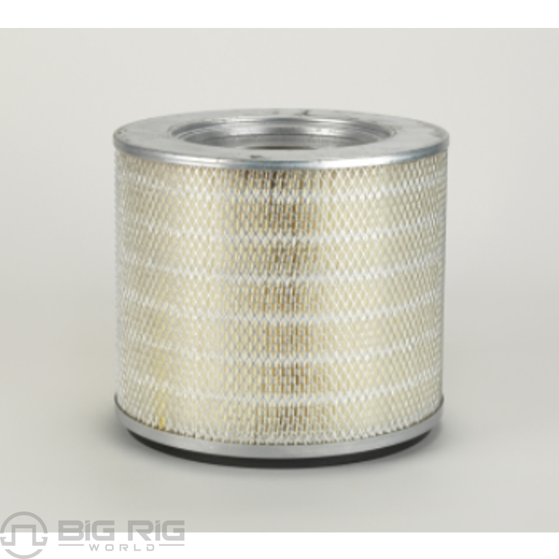 Primary Air Filter P119417 - Donaldson