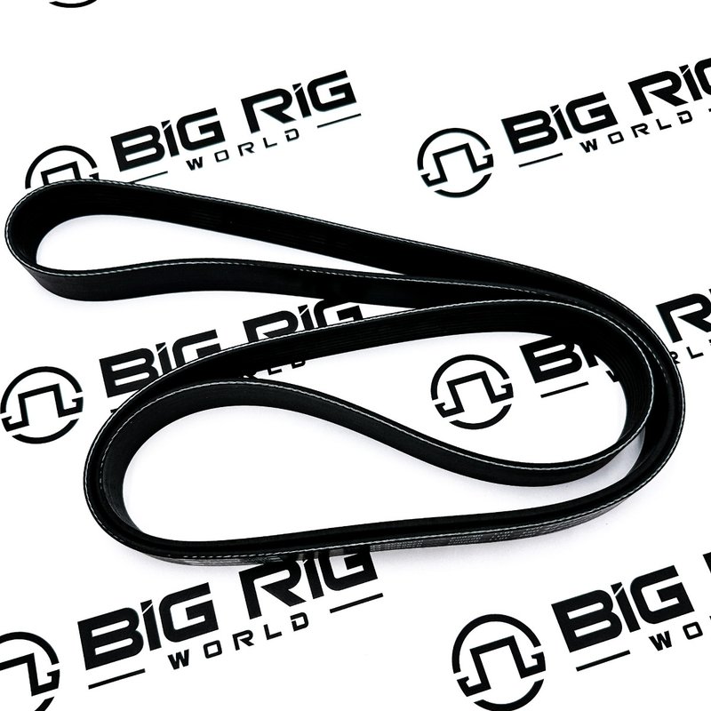 Engine Belt, 8 Rib, 2053mm, Poly D84-1011-082053 - Paccar