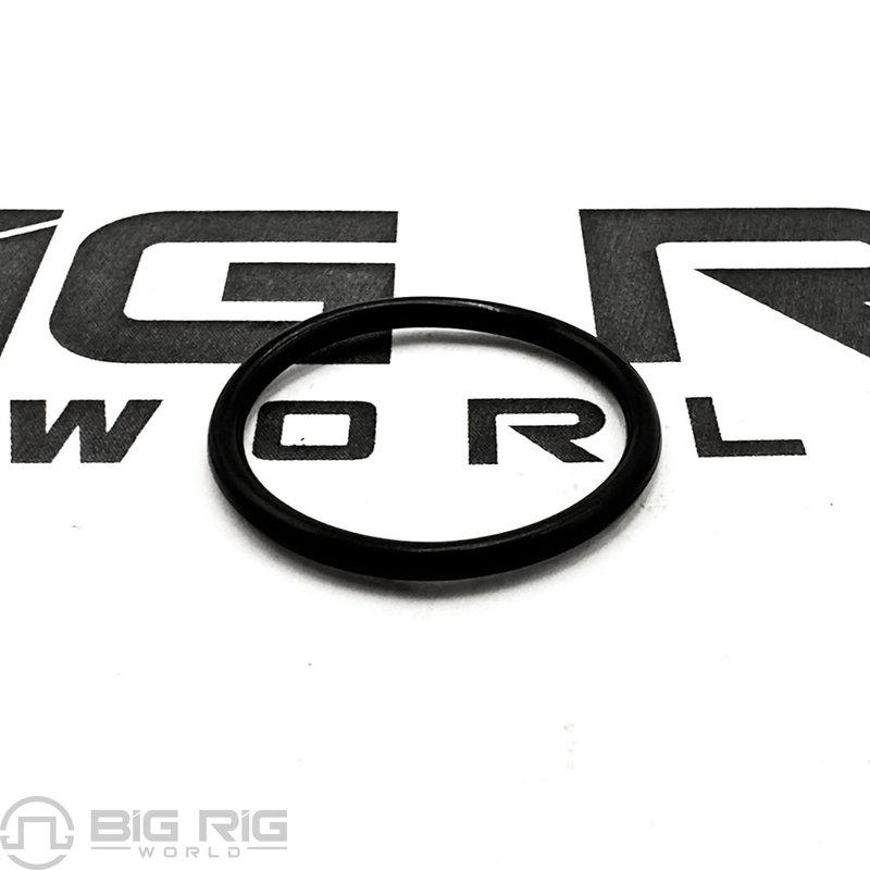 Seal Ring A5419970445 - Detroit Diesel