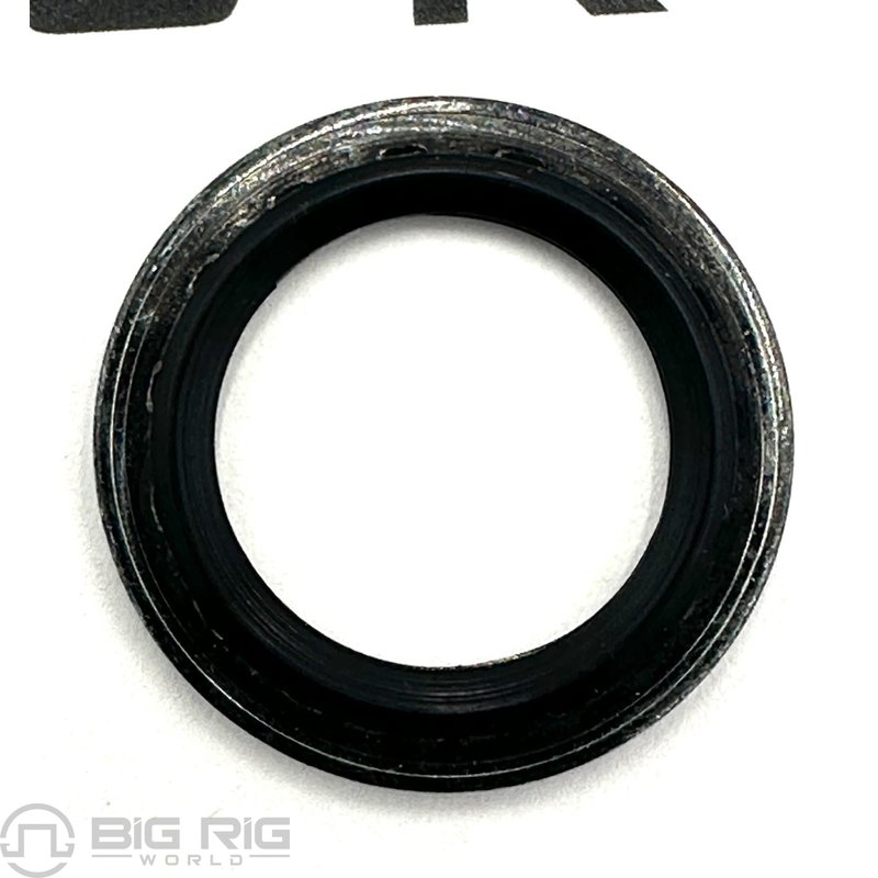 Washer - 5 / 8 Inch - Slim Line 1000309832BSM - Bergstrom