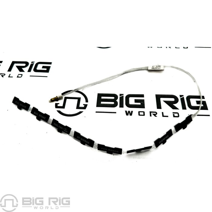 Ribbon - Fiber Optic 17-02789 - Peterbilt