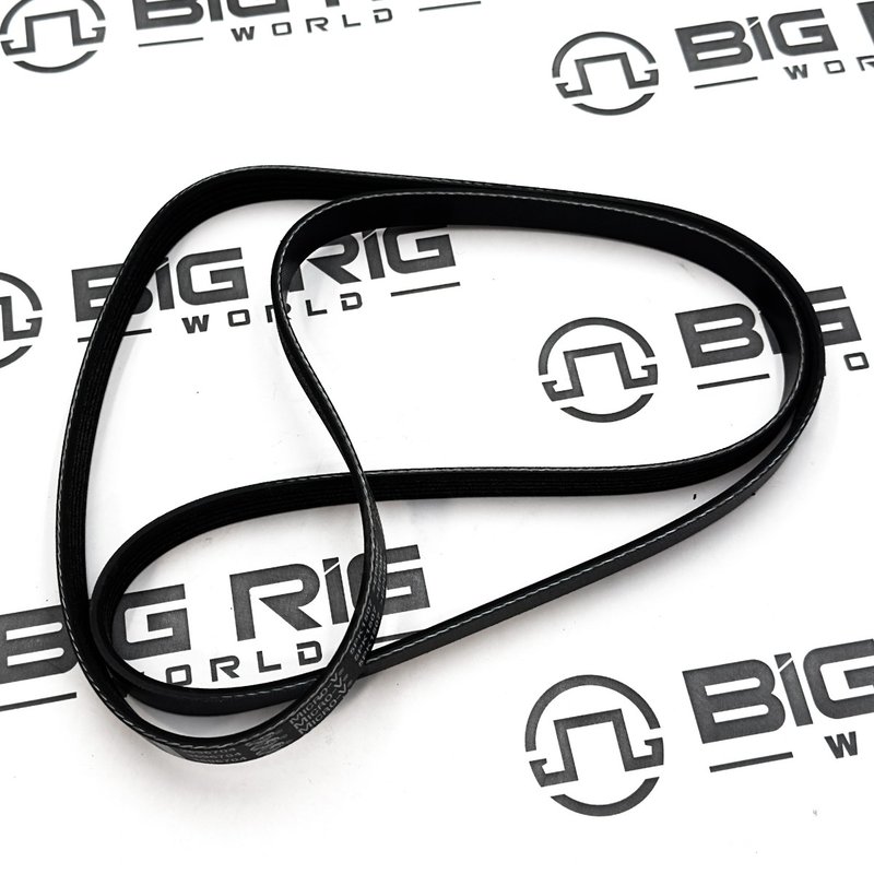 Belt, V Ribbed 3696704 - Cummins