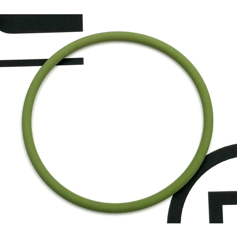 O-Ring, Unit Pump, Lower 1871307PE - Paccar Engine