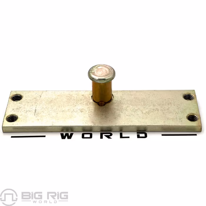 Door Striker Pin and Plate Assembly 04006-1 - Paccar