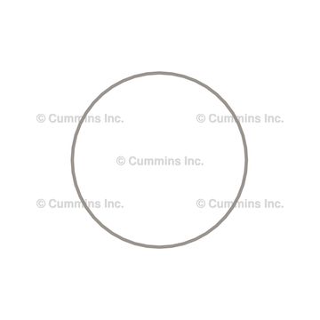 Liner Seal Ring 3054949 - Cummins