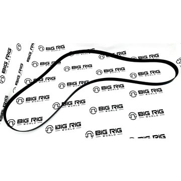 Belt - 8 Rib, EPDM Poly, 2552 mm 01-35643-552 - Freightliner