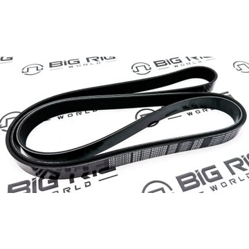 Belt-Poly 8 Ribs X 2430 End/Plystr D84-1000-6082430 - Paccar