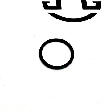 O Ring Seal 3045986 - Cummins