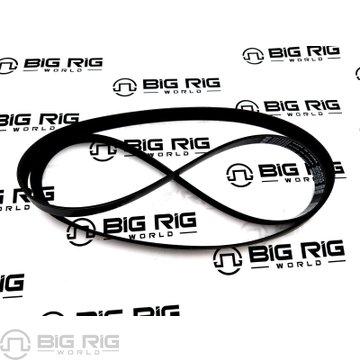 Ribbed V Belt 3974246 - Cummins