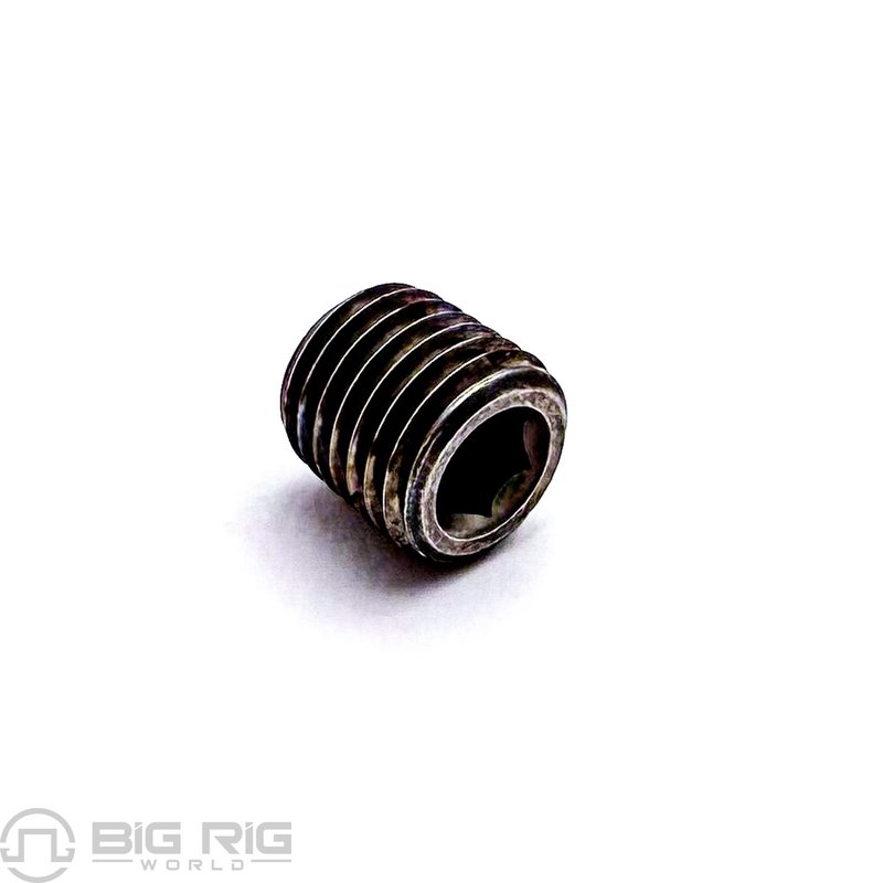 Sealing Plug 0612996PE - Paccar Engine