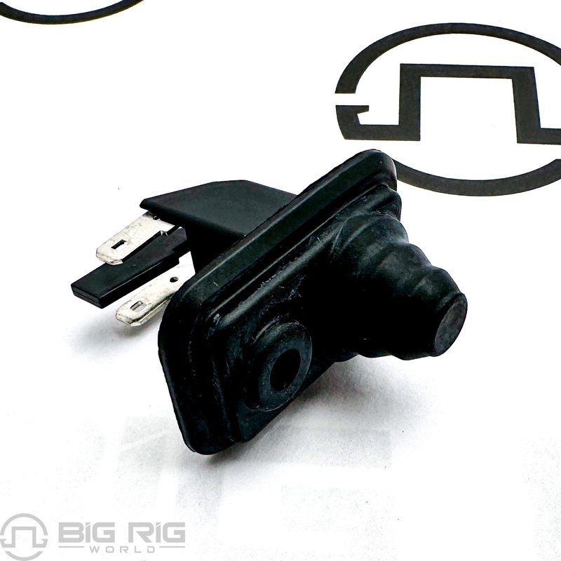 Switch, Door Control 4091611C1 - International