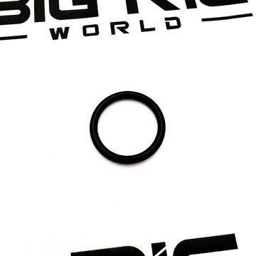 O-Ring 1830941C1 - International