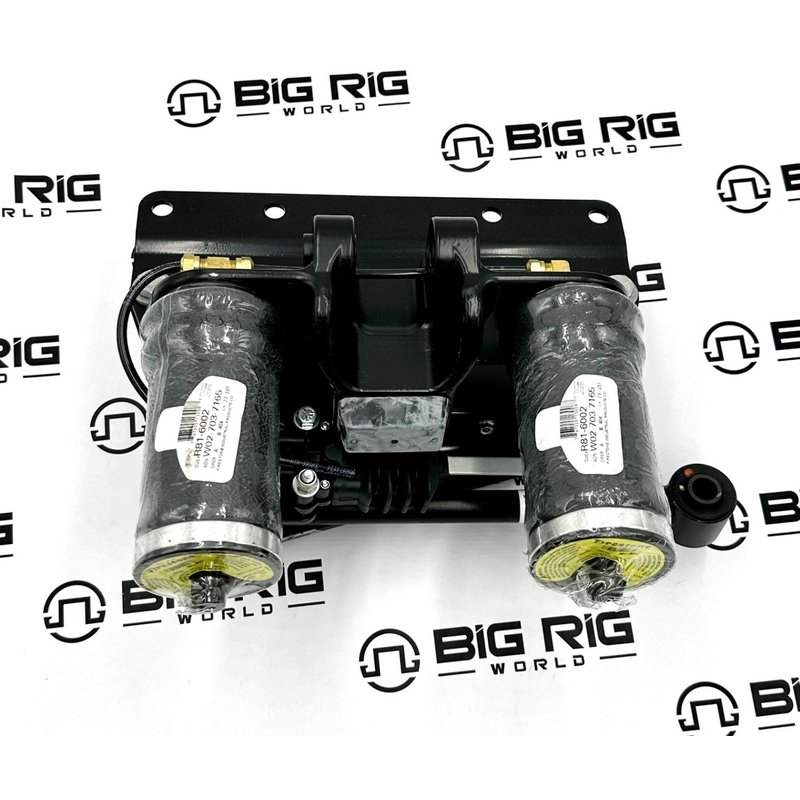 Cab Suspension Assembly WL380 R62-6008 - Peterbilt