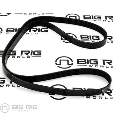 Belt - Poly 6 Ribs x 63 4/5 EL 638K6BLT - TRP