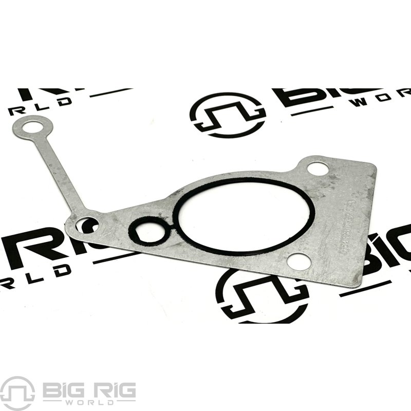 Connection Gasket 3684338 - Cummins