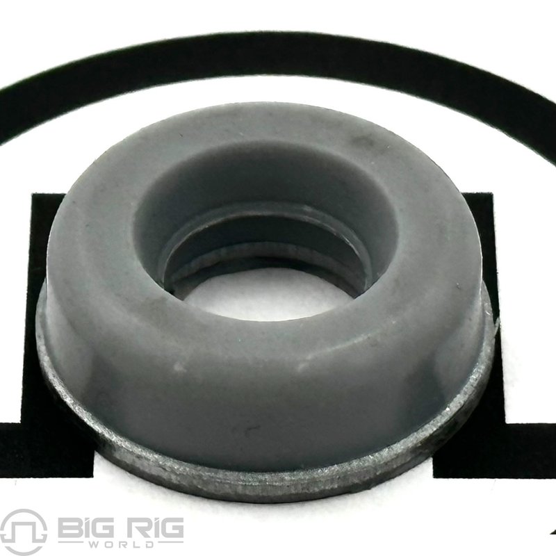 Insulating Washer 20706143 - Mack