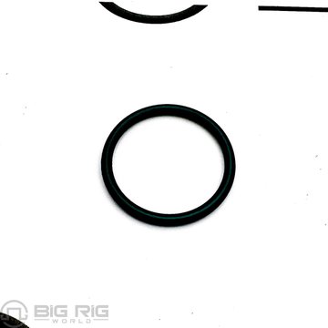 O-Ring, Prescreen Bowl 1825183C91 - International