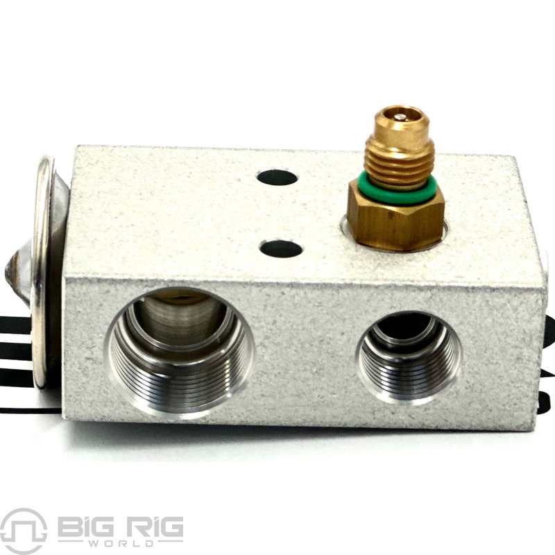 Valve Assy - Expansion Refrig HVAC Pneum SR2000064 - Bergstrom