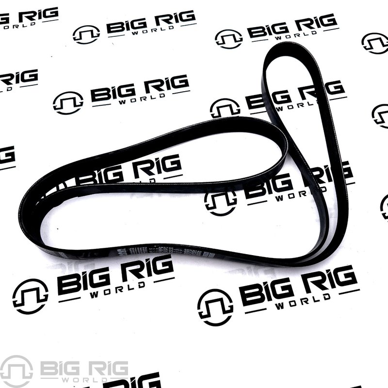 V Ribbed Belt 3974249 - Cummins