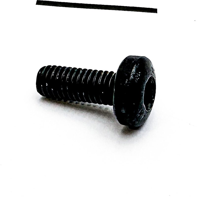 Hexal Rec Screw M6 x 16 1295126PE - Paccar Engine