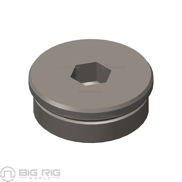 Threaded Plug 3679880 - Cummins