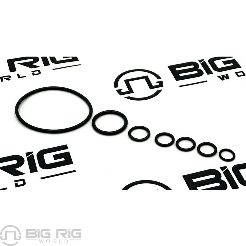 Kit - O Ring 4376561 - Cummins