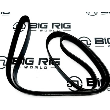 V Ribbed Belt 3289448 - Cummins