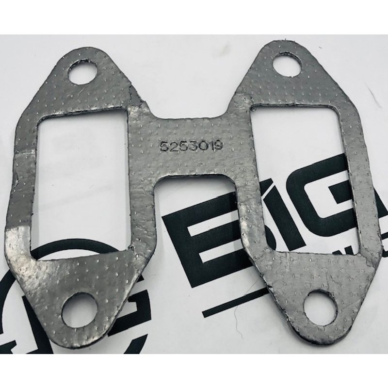 Gasket Exhaust  RCN Valve 5253019 - Cummins