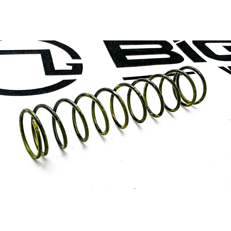 Compression Spring 2892986 - Cummins