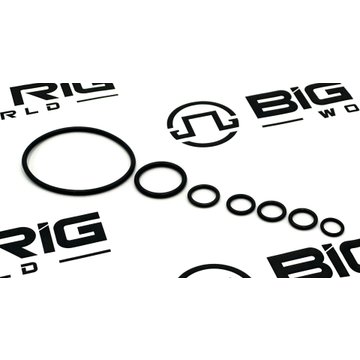 Kit - O Ring 4376561 - Cummins