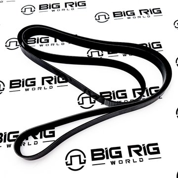 Belt-Poly 8 Ribs X 2448 Plystr D84-1000-6082448 - Paccar