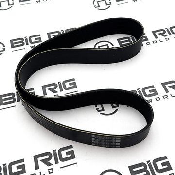Belt-Engine, 12 Rib, 1161mm, Aramid D84-1003-121161 - Paccar