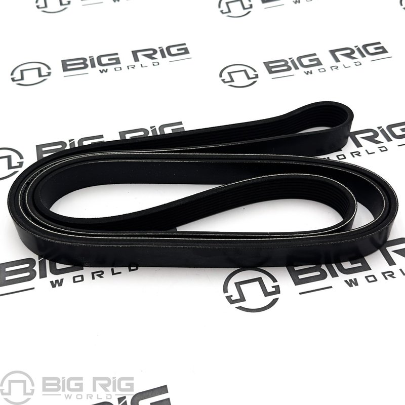 Belt - Poly 8 Ribs X 2600 Orion HD/PLYSTR D84-1000-3082600 - Paccar