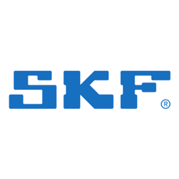 Seal 29925CHR - SKF