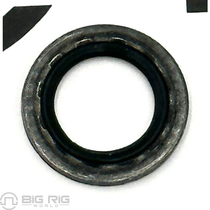 Sealing Washer 4934279 - Cummins