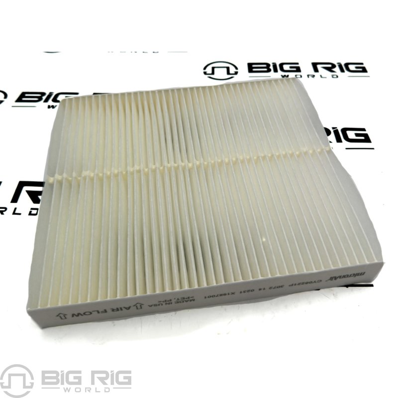 Air Filter, Cabin 4070948C1 - International