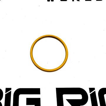 O-Ring A0319977345 - Detroit Diesel