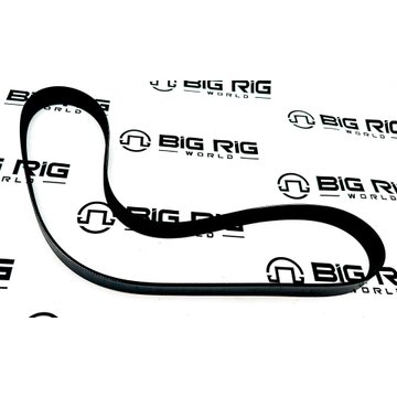 Belt-Poly 8 Ribs X 48 1/2 El 485K8BLT - Paccar