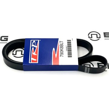 Belt - Poly 8 Ribs X 79 EL 790K8BLT - Paccar