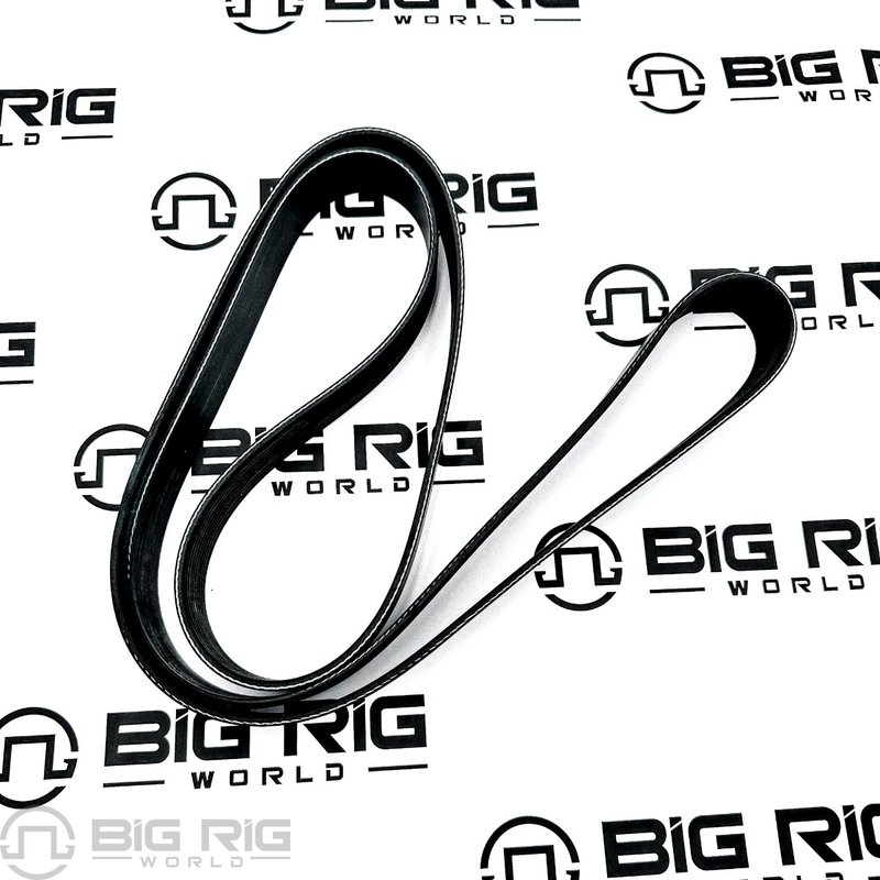 V-Ribbed Belt 23961830 - Mack