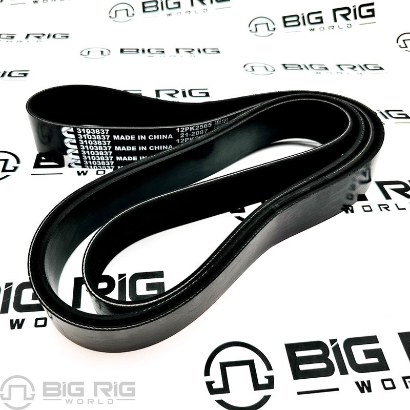 V Ribbed Belt 3103837 - Cummins
