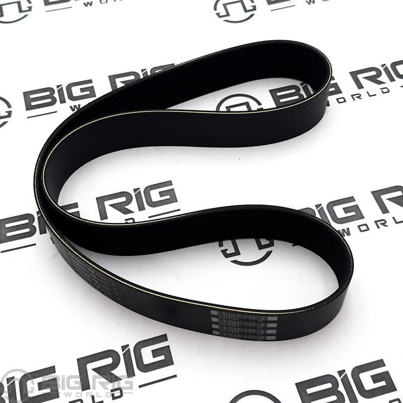 Belt-Engine, 12 Rib, 1161mm, Aramid D84-1003-121161 - Paccar
